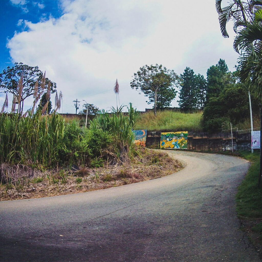 Estadio Olímpico Pascual Guerrero