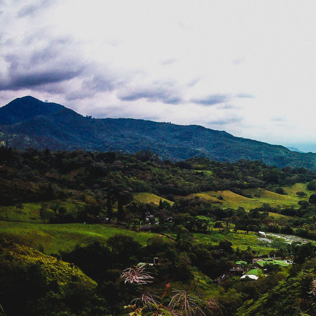 Hacienda El Limonar