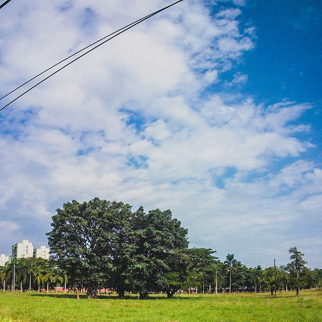 Zoológico de Cali