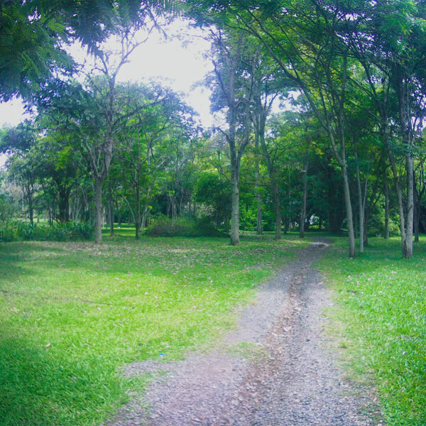 ciudad jardin park