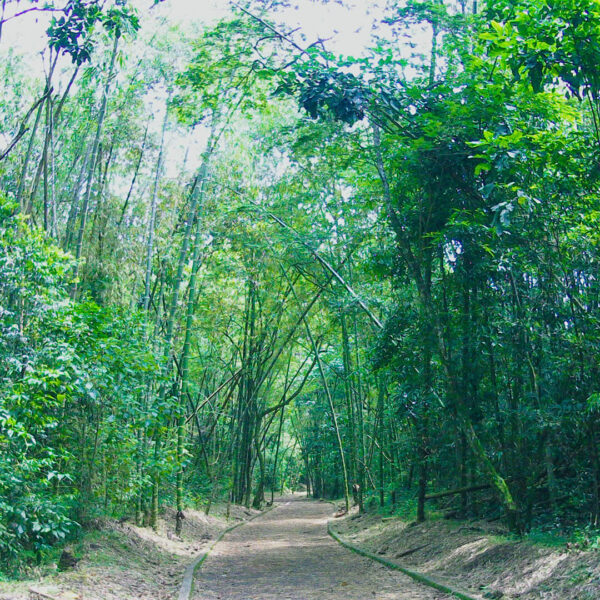 parque de la salud