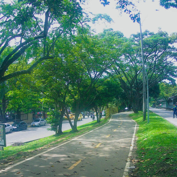 calle quinta